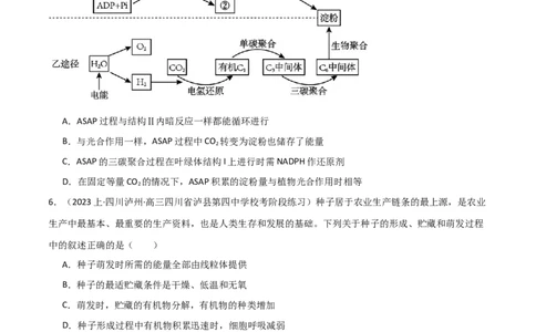 专题03细胞的能量供应和利用（限时检测卷）_2024年新高考资料_3.2024专项复习_2024年高考生物热点&middot;重点&middot;难点专练（新高考专用）