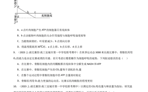 专题03细胞的能量供应和利用（限时检测卷）_2024年新高考资料_3.2024专项复习_2024年高考生物热点&middot;重点&middot;难点专练（新高考专用）