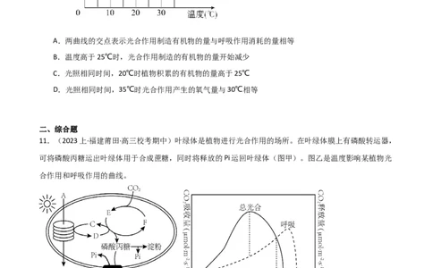 专题03细胞的能量供应和利用（限时检测卷）_2024年新高考资料_3.2024专项复习_2024年高考生物热点&middot;重点&middot;难点专练（新高考专用）