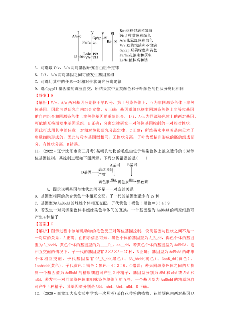 专题15基因的自由组合定律（精练）（解析版）_2024年新高考资料_1.2024一轮复习_备战2024年高考生物一轮复习串讲精练（新高考专用）