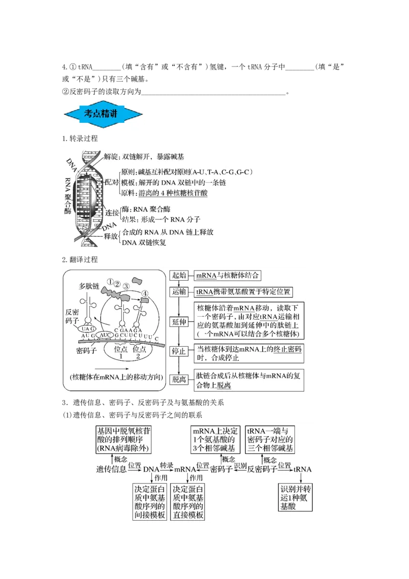 专题19基因的表达（串讲）（原卷版）_2024年新高考资料_1.2024一轮复习_备战2024年高考生物一轮复习串讲精练（新高考专用）