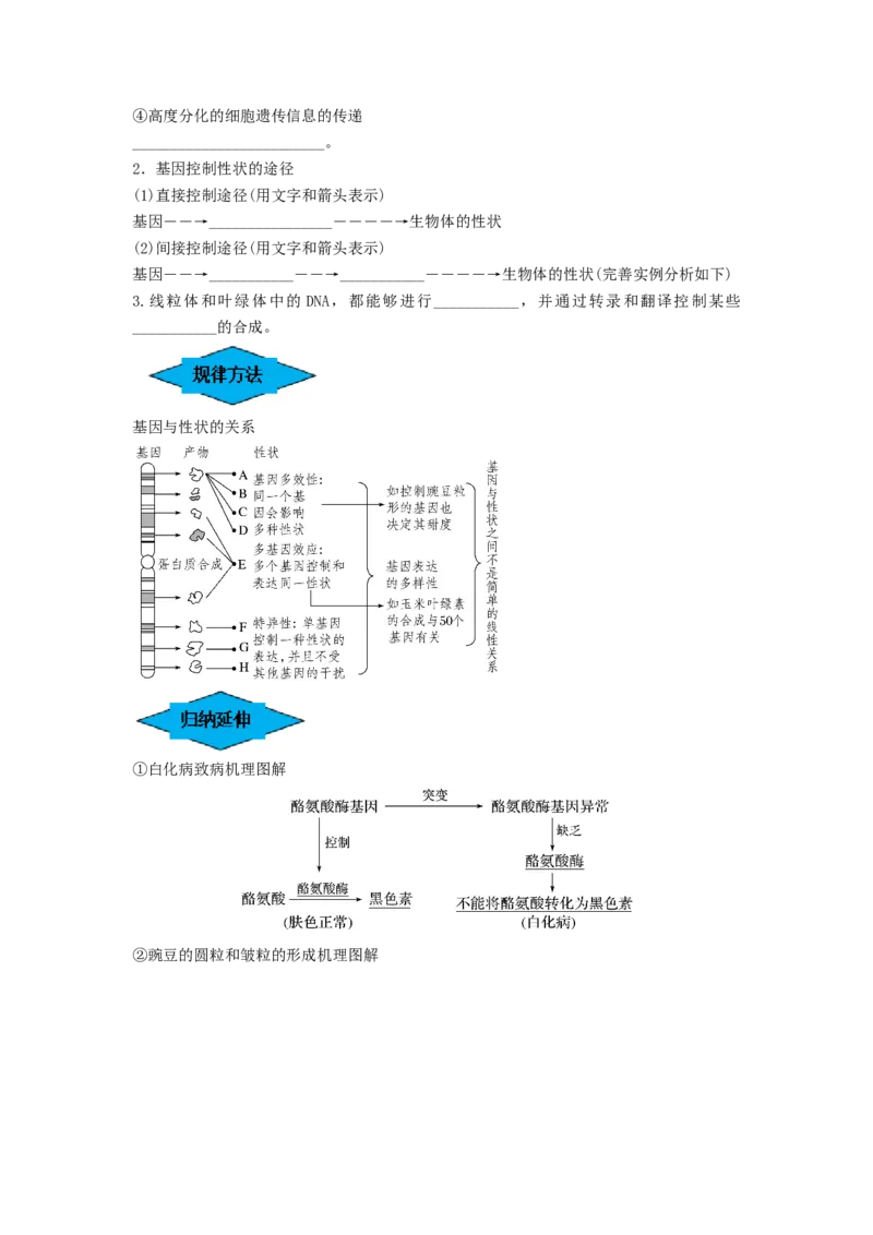 专题19基因的表达（串讲）（原卷版）_2024年新高考资料_1.2024一轮复习_备战2024年高考生物一轮复习串讲精练（新高考专用）