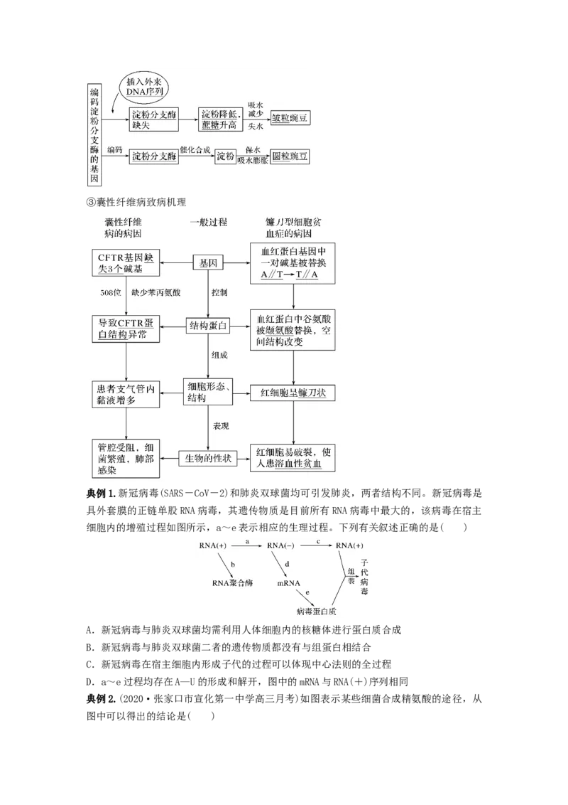 专题19基因的表达（串讲）（原卷版）_2024年新高考资料_1.2024一轮复习_备战2024年高考生物一轮复习串讲精练（新高考专用）
