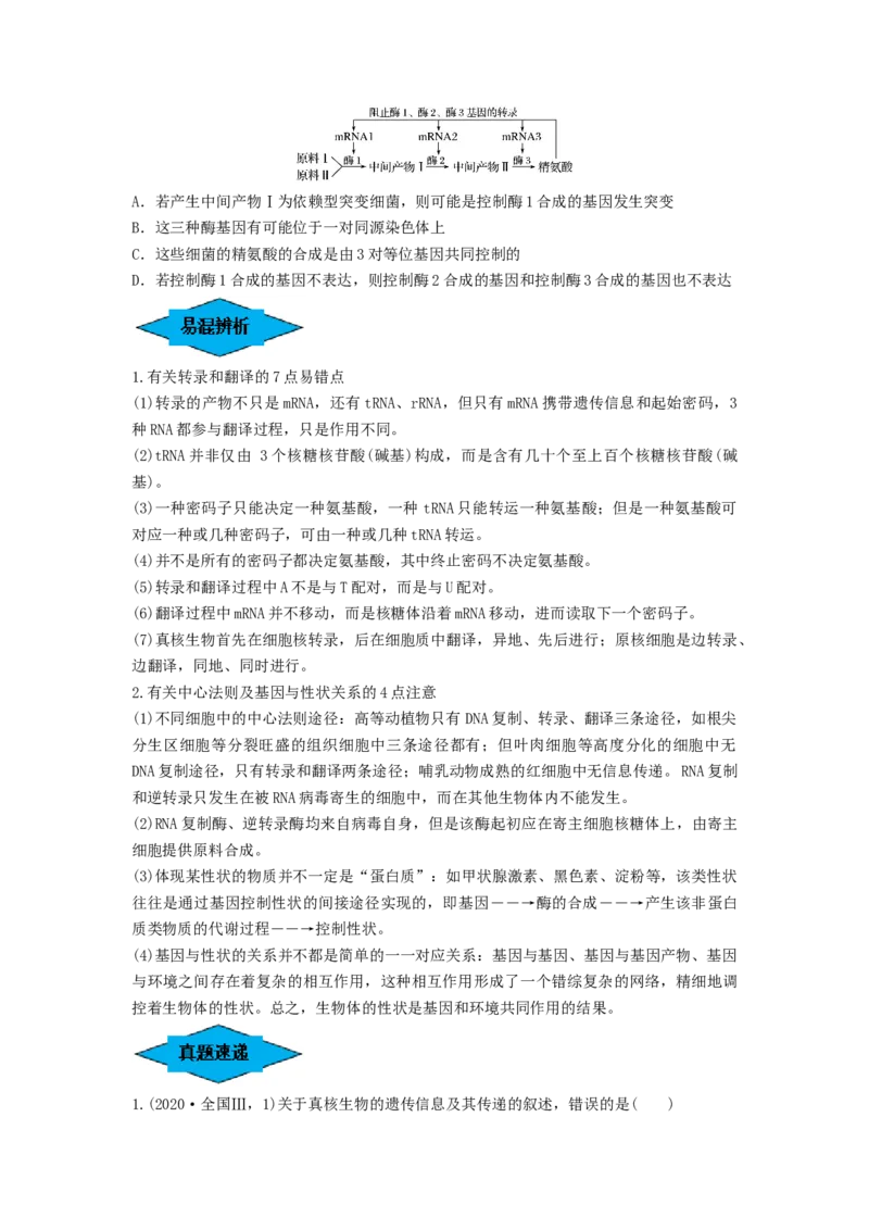 专题19基因的表达（串讲）（原卷版）_2024年新高考资料_1.2024一轮复习_备战2024年高考生物一轮复习串讲精练（新高考专用）