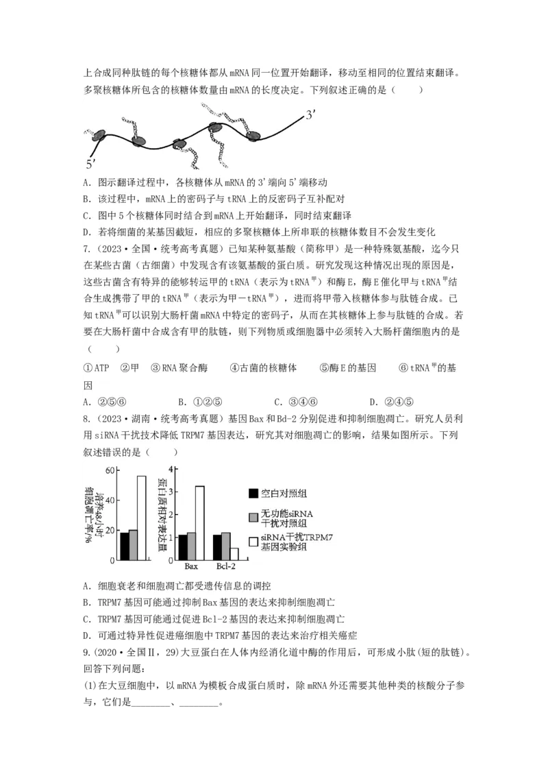 专题19基因的表达（串讲）（原卷版）_2024年新高考资料_1.2024一轮复习_备战2024年高考生物一轮复习串讲精练（新高考专用）