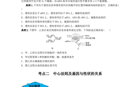 专题19基因的表达（串讲）（原卷版）_2024年新高考资料_1.2024一轮复习_备战2024年高考生物一轮复习串讲精练（新高考专用）