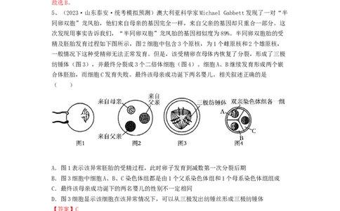 专题33细胞工程和胚胎工程（精练）（解析版）_2024年新高考资料_1.2024一轮复习_备战2024年高考生物一轮复习串讲精练（新高考专用）