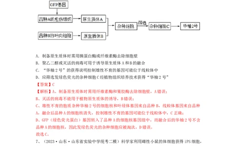 专题33细胞工程和胚胎工程（精练）（解析版）_2024年新高考资料_1.2024一轮复习_备战2024年高考生物一轮复习串讲精练（新高考专用）