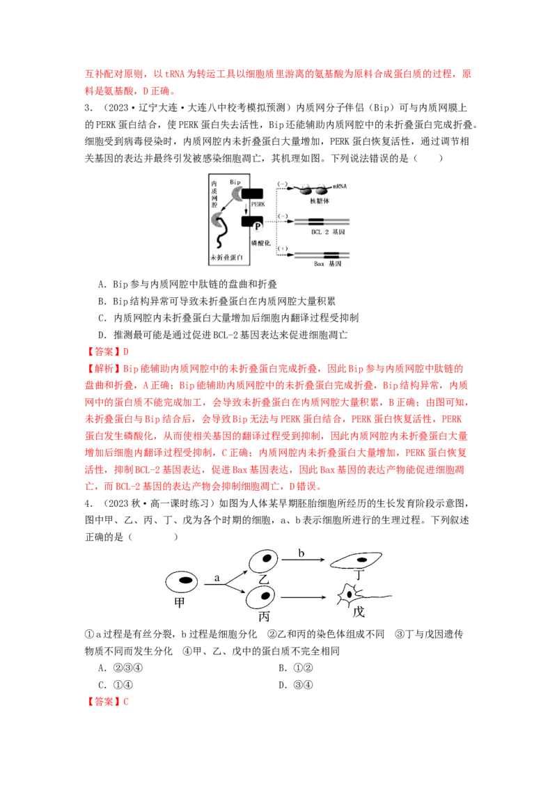 专题14基因的表达（解析版）_2024年新高考资料_1.2024一轮复习_备战2024年高考生物一轮复习抢分特训（全国通用）_专题14基因的表达-备战2024年高考生物一轮复习抢分特训（全国通用）