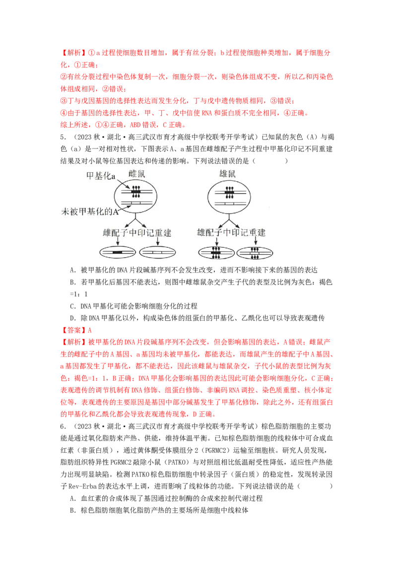 专题14基因的表达（解析版）_2024年新高考资料_1.2024一轮复习_备战2024年高考生物一轮复习抢分特训（全国通用）_专题14基因的表达-备战2024年高考生物一轮复习抢分特训（全国通用）