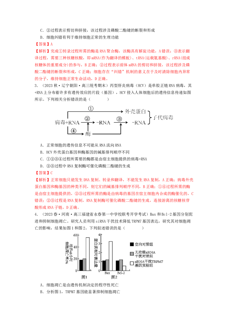 专题14基因的表达（解析版）_2024年新高考资料_1.2024一轮复习_备战2024年高考生物一轮复习抢分特训（全国通用）_专题14基因的表达-备战2024年高考生物一轮复习抢分特训（全国通用）
