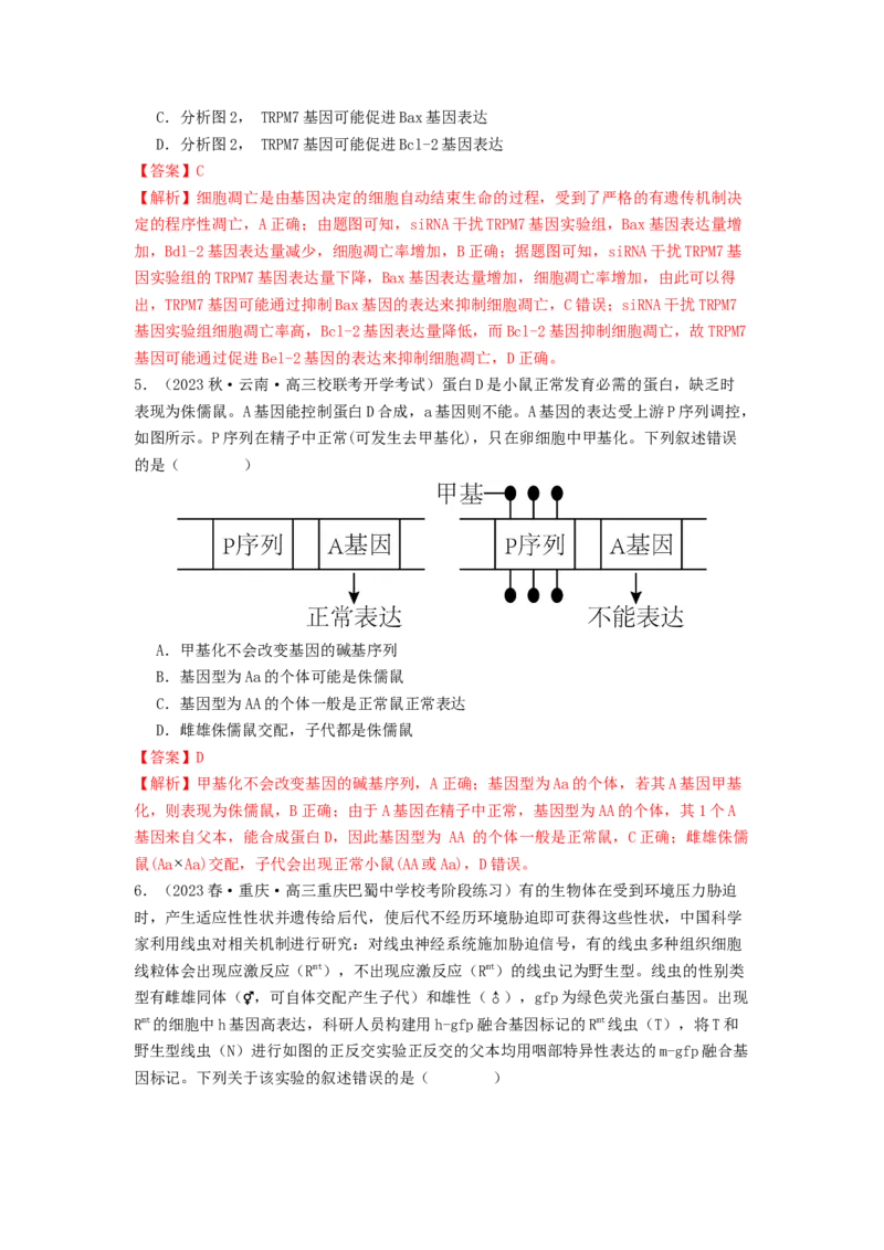 专题14基因的表达（解析版）_2024年新高考资料_1.2024一轮复习_备战2024年高考生物一轮复习抢分特训（全国通用）_专题14基因的表达-备战2024年高考生物一轮复习抢分特训（全国通用）