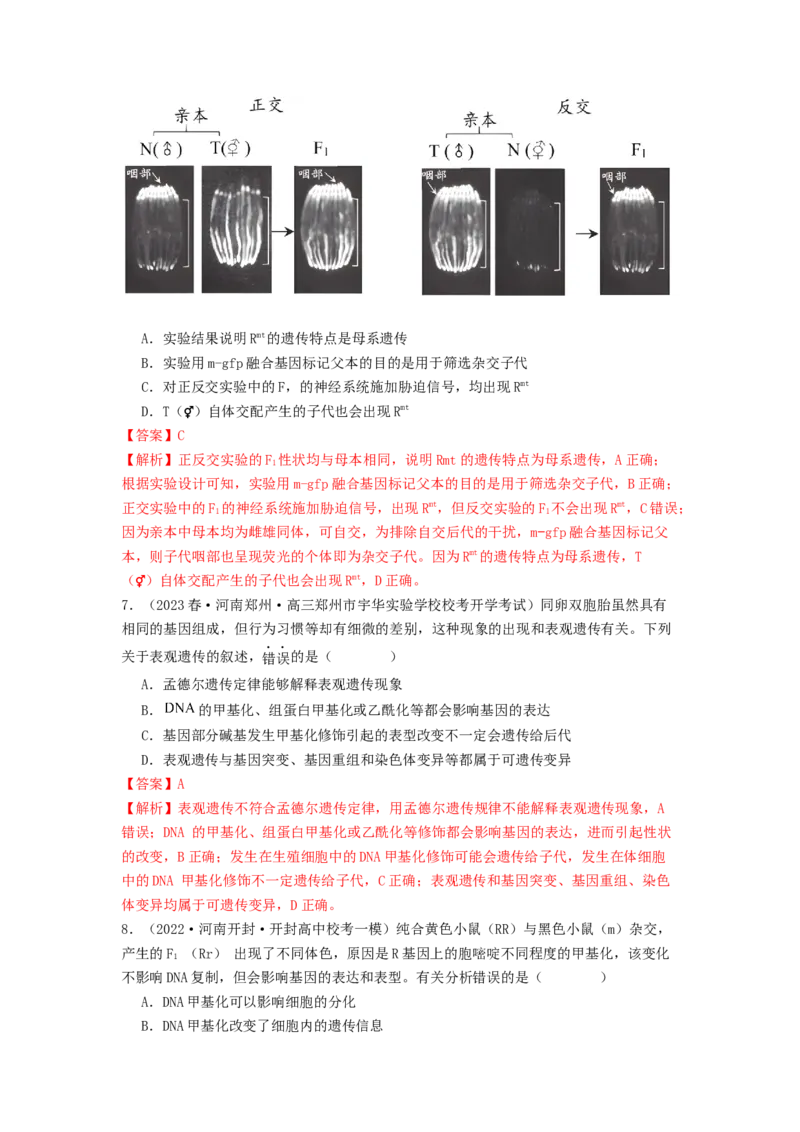 专题14基因的表达（解析版）_2024年新高考资料_1.2024一轮复习_备战2024年高考生物一轮复习抢分特训（全国通用）_专题14基因的表达-备战2024年高考生物一轮复习抢分特训（全国通用）