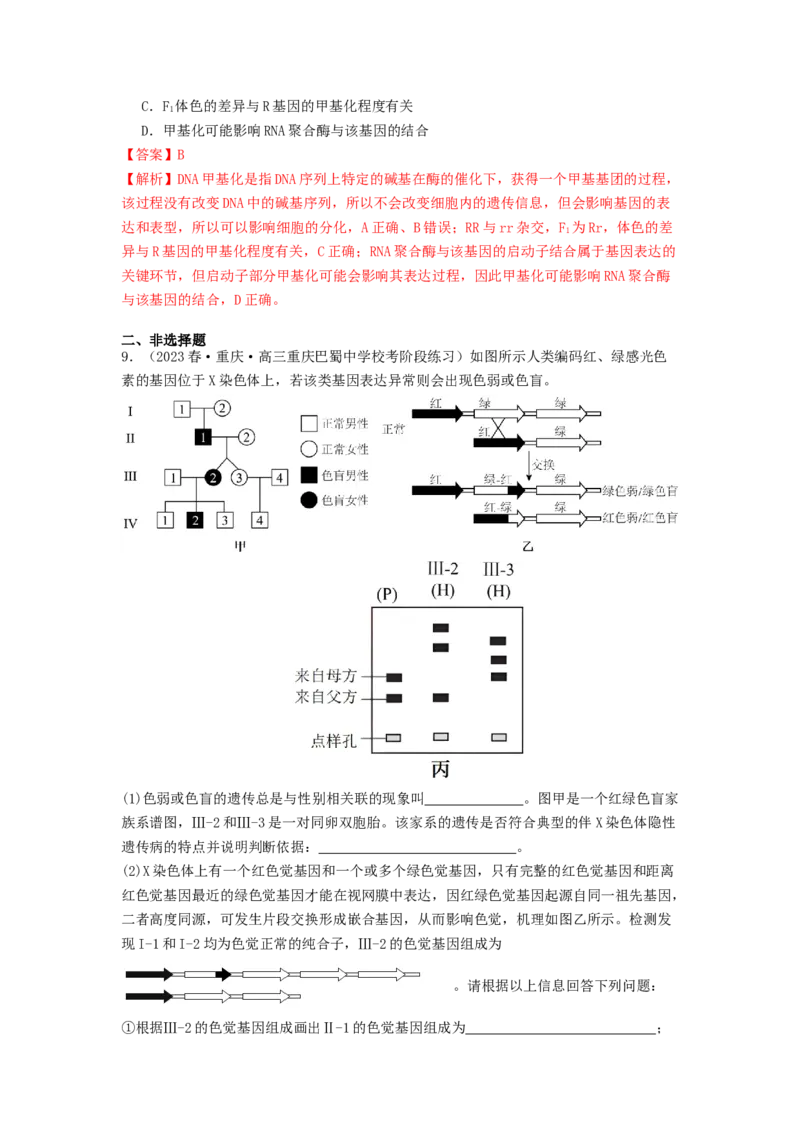 专题14基因的表达（解析版）_2024年新高考资料_1.2024一轮复习_备战2024年高考生物一轮复习抢分特训（全国通用）_专题14基因的表达-备战2024年高考生物一轮复习抢分特训（全国通用）