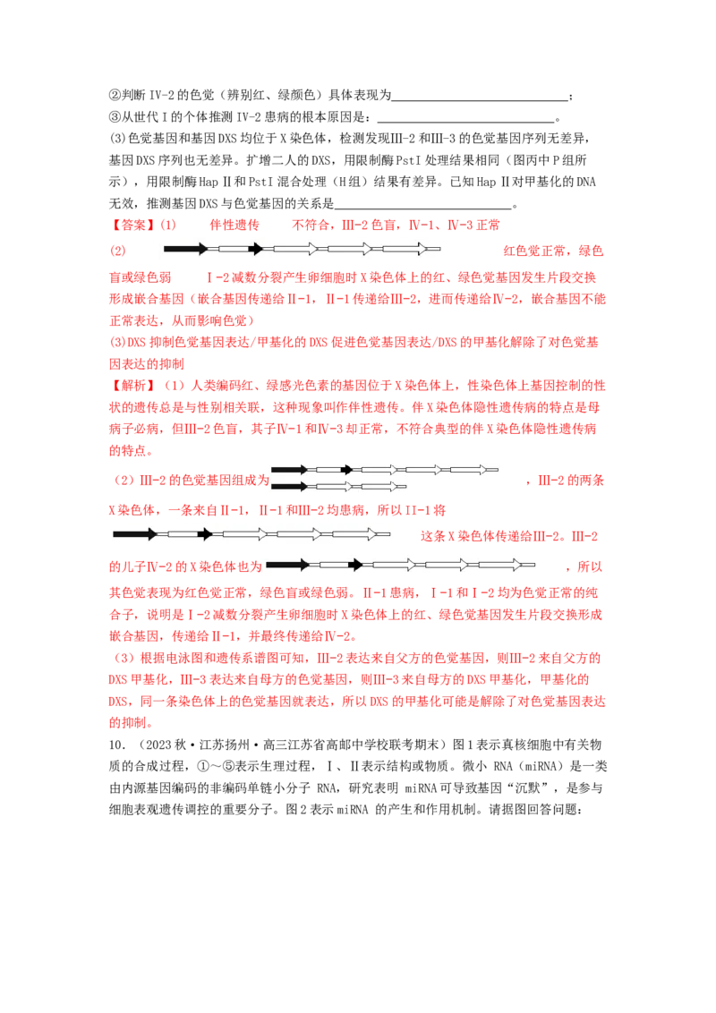 专题14基因的表达（解析版）_2024年新高考资料_1.2024一轮复习_备战2024年高考生物一轮复习抢分特训（全国通用）_专题14基因的表达-备战2024年高考生物一轮复习抢分特训（全国通用）