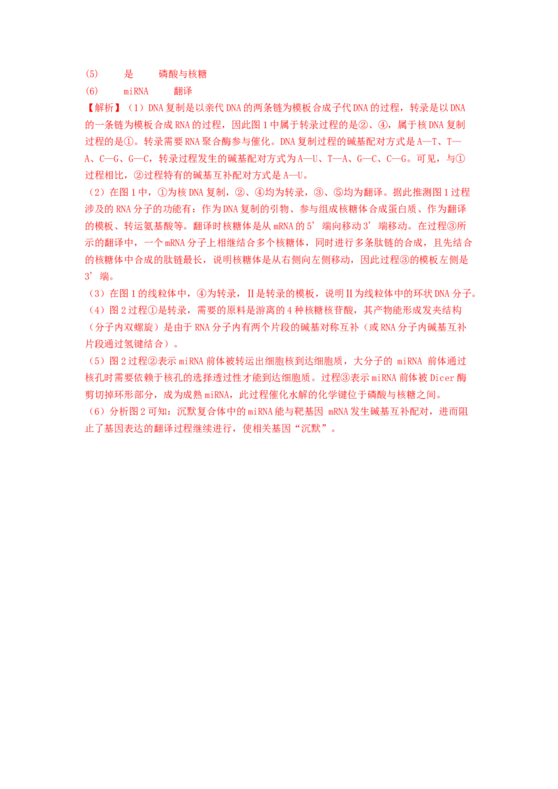 专题14基因的表达（解析版）_2024年新高考资料_1.2024一轮复习_备战2024年高考生物一轮复习抢分特训（全国通用）_专题14基因的表达-备战2024年高考生物一轮复习抢分特训（全国通用）