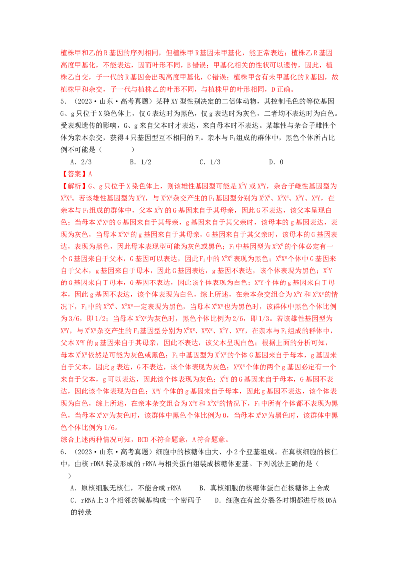 专题14基因的表达（解析版）_2024年新高考资料_1.2024一轮复习_备战2024年高考生物一轮复习抢分特训（全国通用）_专题14基因的表达-备战2024年高考生物一轮复习抢分特训（全国通用）