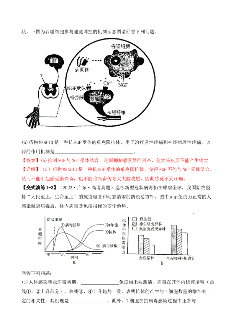专题08生命活动调节（解析版）_2024年新高考资料_2.2024二轮复习_2024年高考生物二轮热点题型归纳与变式演练（新高考通用）