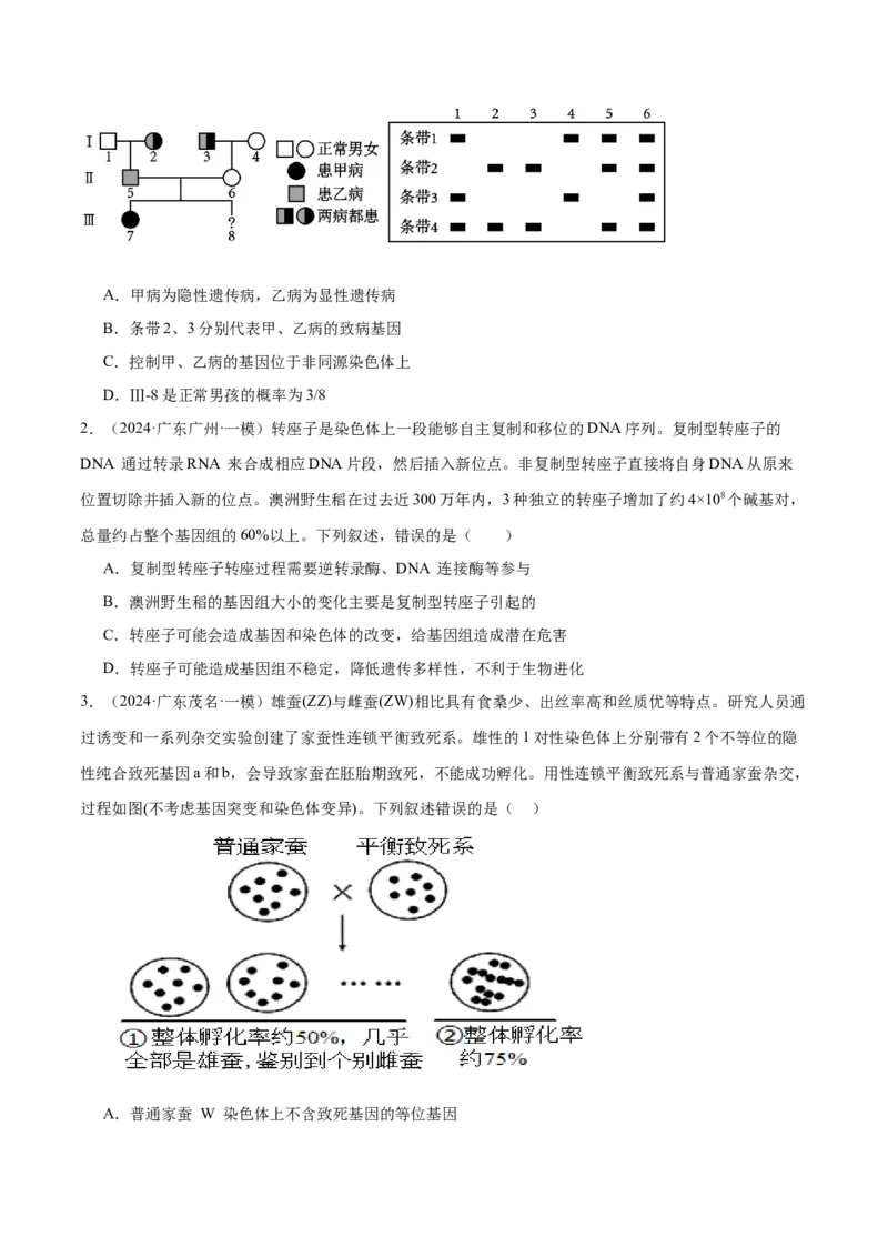 押广东卷选择题第16题遗传与进化（原卷版）_2024年新高考资料_5.2024三轮冲刺_备战2024年高考生物临考题号押题（广东专用）323137816