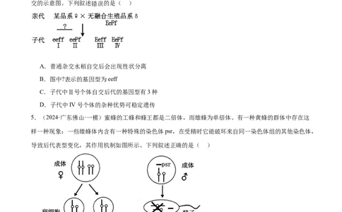 押广东卷选择题第16题遗传与进化（原卷版）_2024年新高考资料_5.2024三轮冲刺_备战2024年高考生物临考题号押题（广东专用）323137816