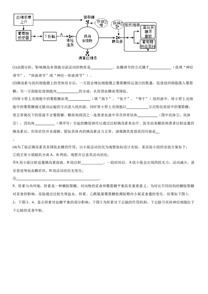 专题三稳态与调节（综合题特训）-2024年高考生物二轮复习专题训练（全国通用）（解析版）_2024年新高考资料_2.2024二轮复习_2024年高考生物二轮复习专题训练（全国通用）