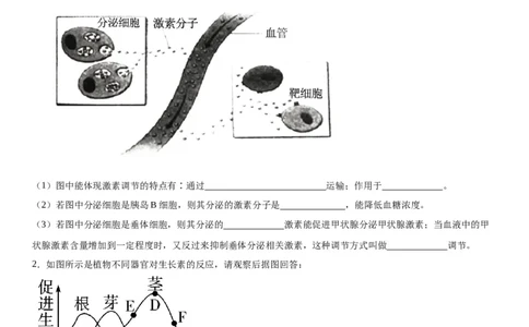 专题三稳态与调节（综合题特训）-2024年高考生物二轮复习专题训练（全国通用）（解析版）_2024年新高考资料_2.2024二轮复习_2024年高考生物二轮复习专题训练（全国通用）