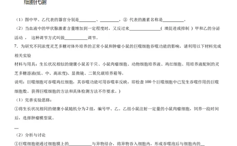 专题三稳态与调节（综合题特训）-2024年高考生物二轮复习专题训练（全国通用）（解析版）_2024年新高考资料_2.2024二轮复习_2024年高考生物二轮复习专题训练（全国通用）