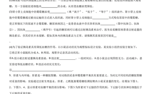 专题三稳态与调节（综合题特训）-2024年高考生物二轮复习专题训练（全国通用）（解析版）_2024年新高考资料_2.2024二轮复习_2024年高考生物二轮复习专题训练（全国通用）