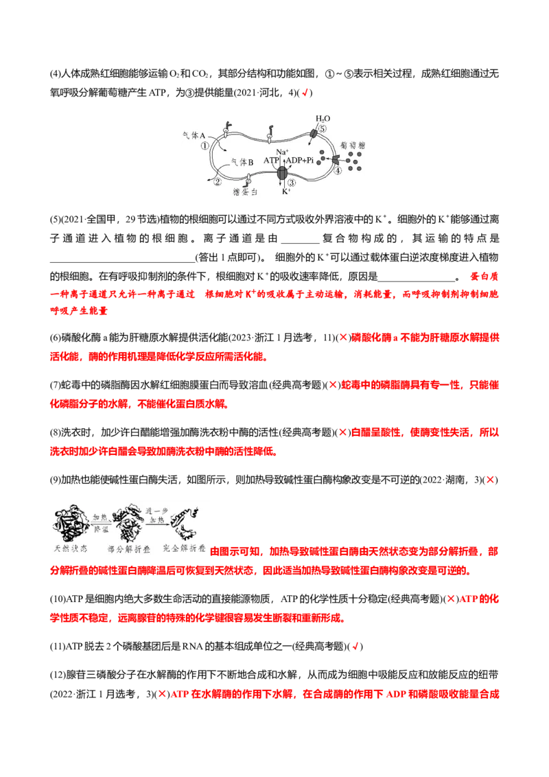专题02高中生物考前必刷易错题（教师版）_2024年新高考资料_5.2024三轮冲刺_备战2024年高中生物考前必备锦囊（全国通用）