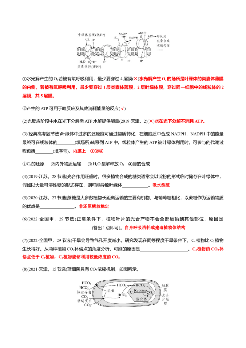 专题02高中生物考前必刷易错题（教师版）_2024年新高考资料_5.2024三轮冲刺_备战2024年高中生物考前必备锦囊（全国通用）