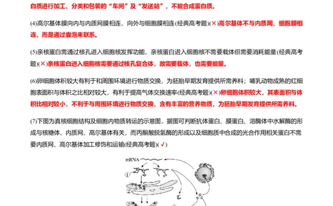 专题02高中生物考前必刷易错题（教师版）_2024年新高考资料_5.2024三轮冲刺_备战2024年高中生物考前必备锦囊（全国通用）
