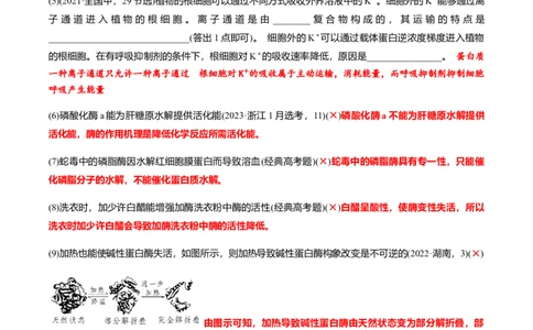 专题02高中生物考前必刷易错题（教师版）_2024年新高考资料_5.2024三轮冲刺_备战2024年高中生物考前必备锦囊（全国通用）