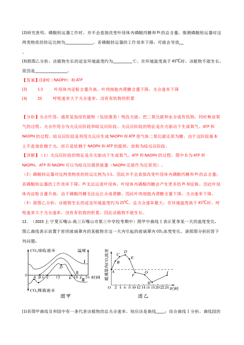 专题03细胞的能量供应和利用（解析版）_2024年新高考资料_3.2024专项复习_2024年高考生物热点&middot;重点&middot;难点专练（新高考专用）