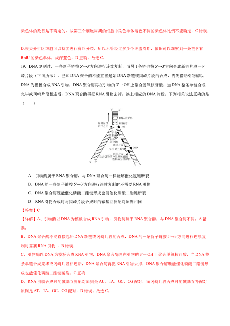 专题五遗传的分子基础、变异和进化（测试）（解析版）_2024年新高考资料_2.2024二轮复习_2024年高考生物二轮复习讲练测（新教材新高考）