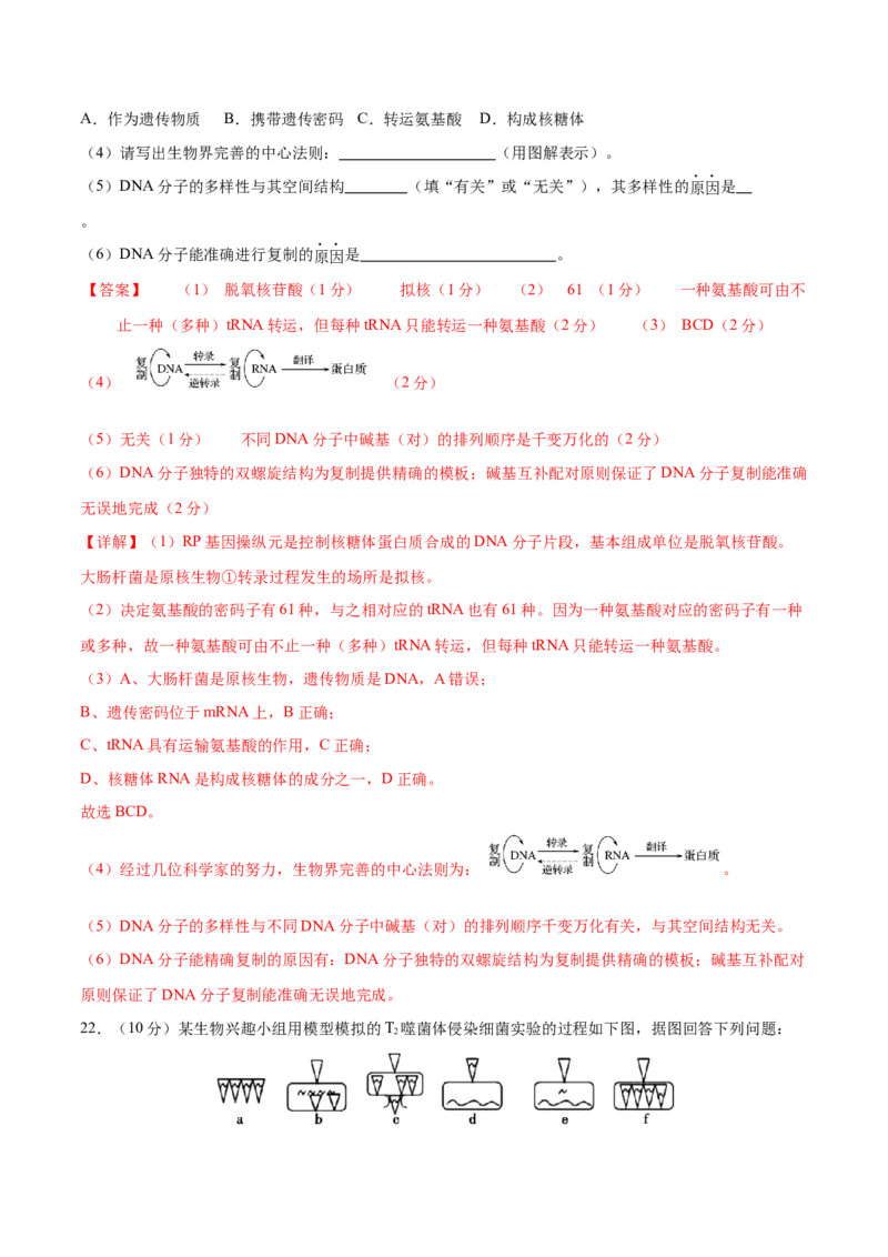 专题五遗传的分子基础、变异和进化（测试）（解析版）_2024年新高考资料_2.2024二轮复习_2024年高考生物二轮复习讲练测（新教材新高考）