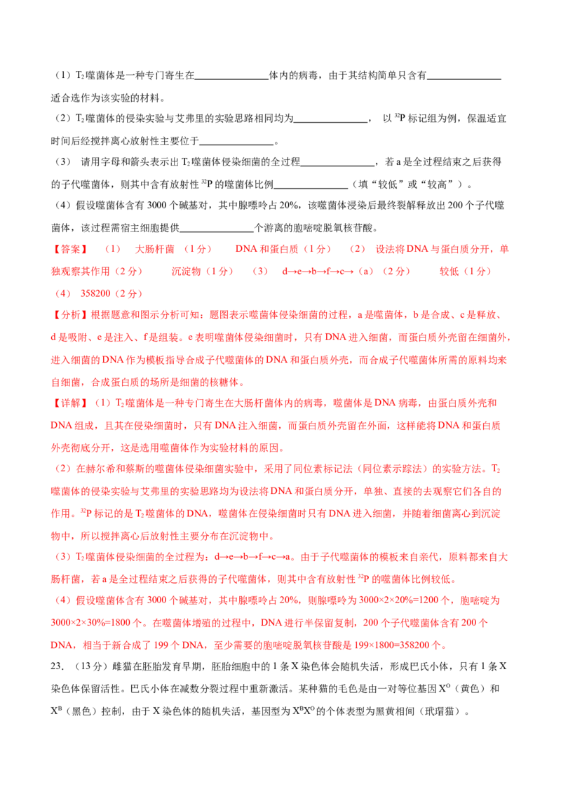 专题五遗传的分子基础、变异和进化（测试）（解析版）_2024年新高考资料_2.2024二轮复习_2024年高考生物二轮复习讲练测（新教材新高考）