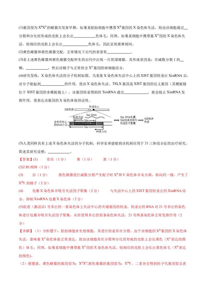 专题五遗传的分子基础、变异和进化（测试）（解析版）_2024年新高考资料_2.2024二轮复习_2024年高考生物二轮复习讲练测（新教材新高考）