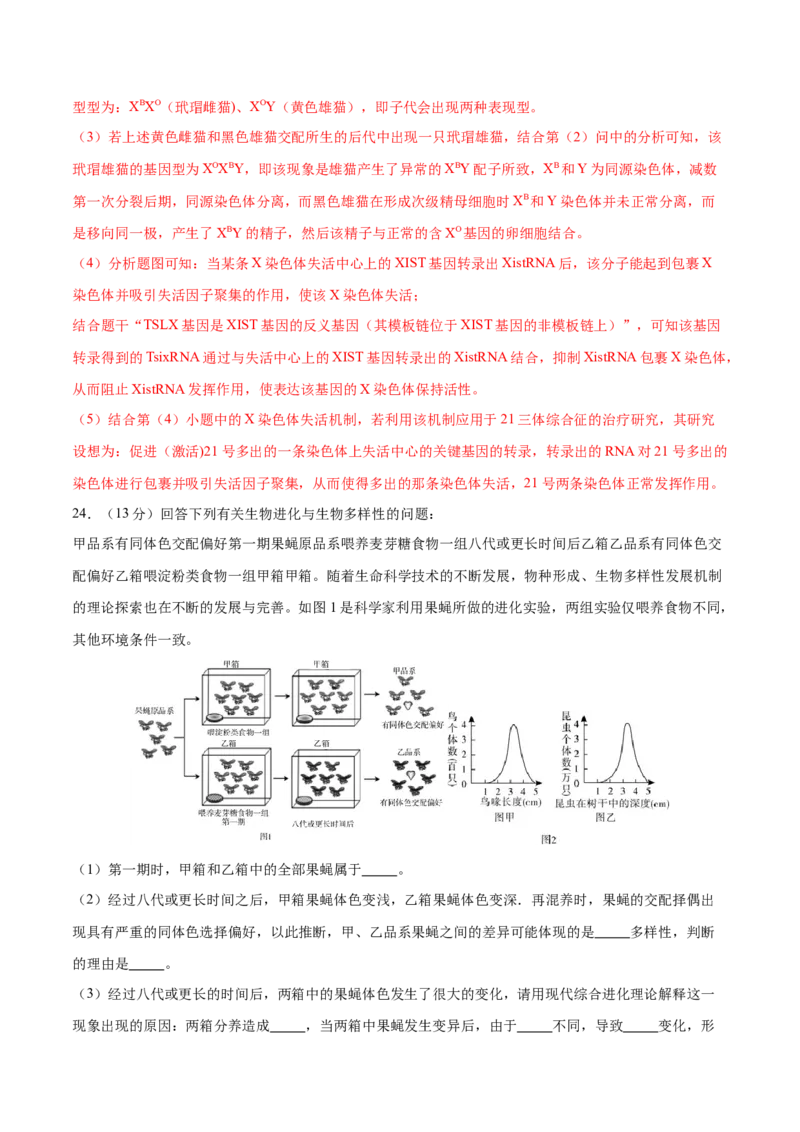 专题五遗传的分子基础、变异和进化（测试）（解析版）_2024年新高考资料_2.2024二轮复习_2024年高考生物二轮复习讲练测（新教材新高考）