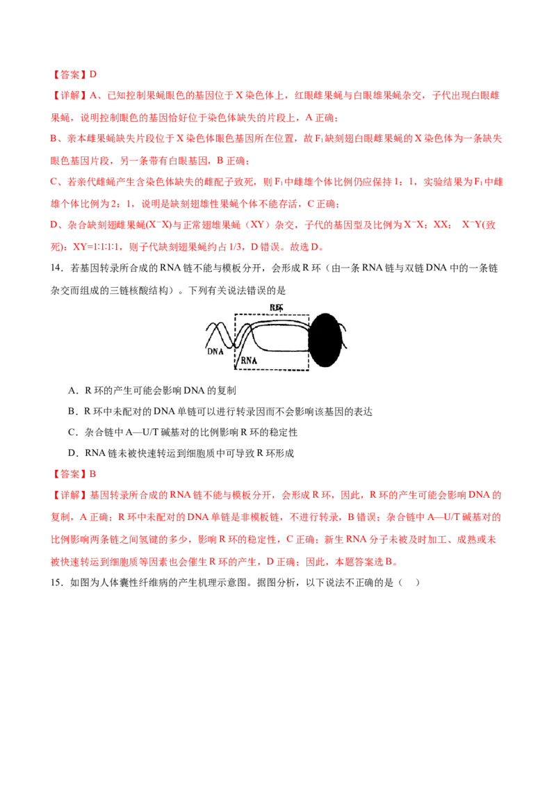专题五遗传的分子基础、变异和进化（测试）（解析版）_2024年新高考资料_2.2024二轮复习_2024年高考生物二轮复习讲练测（新教材新高考）