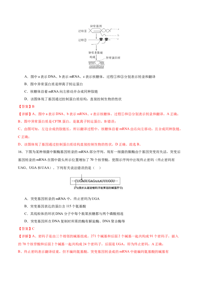 专题五遗传的分子基础、变异和进化（测试）（解析版）_2024年新高考资料_2.2024二轮复习_2024年高考生物二轮复习讲练测（新教材新高考）
