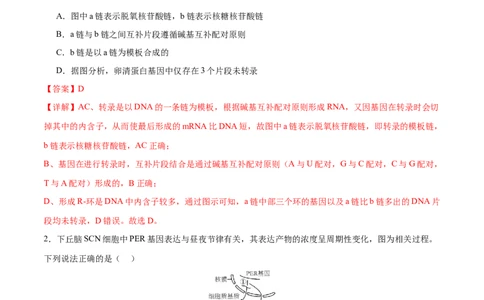 专题五遗传的分子基础、变异和进化（测试）（解析版）_2024年新高考资料_2.2024二轮复习_2024年高考生物二轮复习讲练测（新教材新高考）