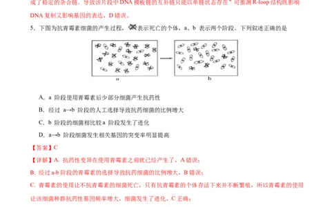 专题五遗传的分子基础、变异和进化（测试）（解析版）_2024年新高考资料_2.2024二轮复习_2024年高考生物二轮复习讲练测（新教材新高考）
