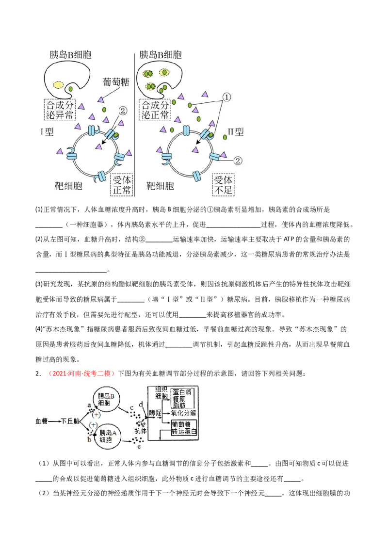 专题11免疫调节（原卷版）_2024年新高考资料_3.2024专项复习_备战2024年高考生物一轮复习重难点突破讲解与训练（新教材）