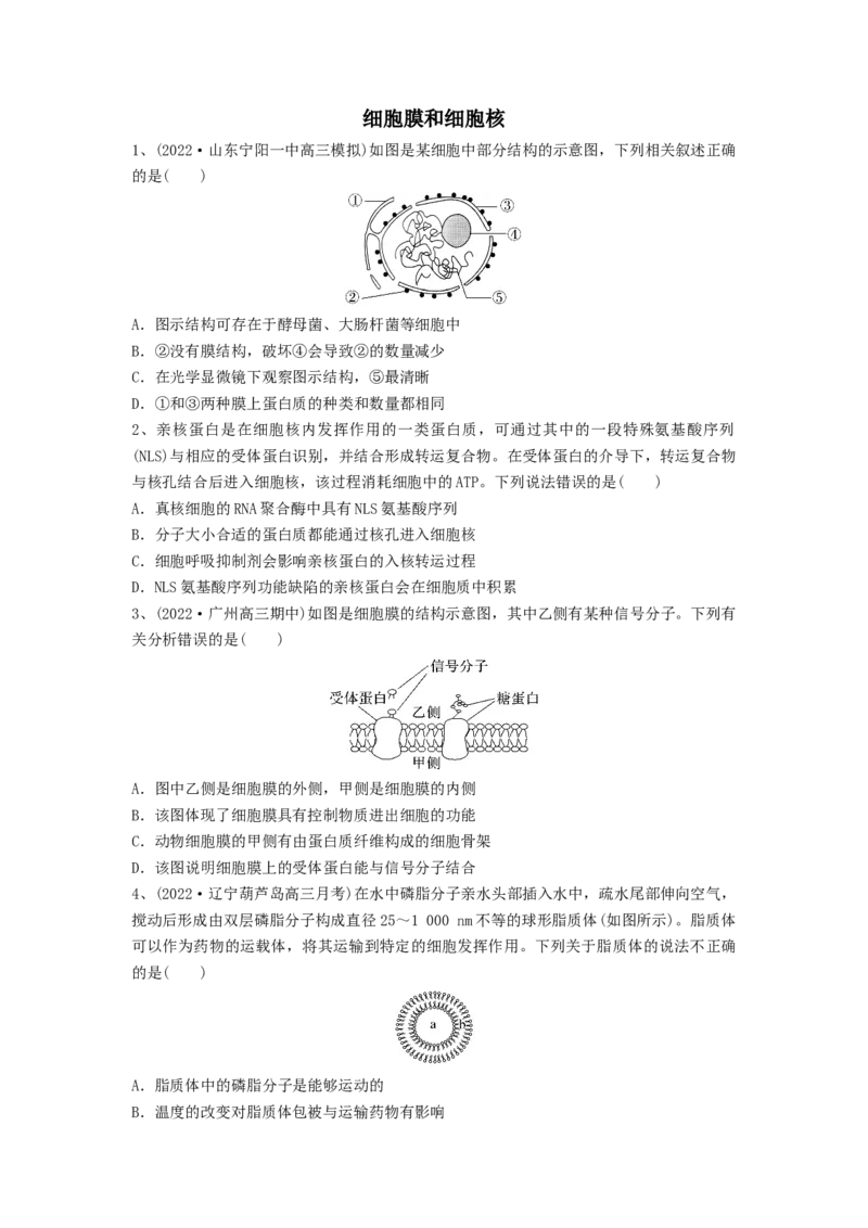 专题04细胞膜和细胞核（精练）（原卷版）_2024年新高考资料_1.2024一轮复习_备战2024年高考生物一轮复习串讲精练（新高考专用）