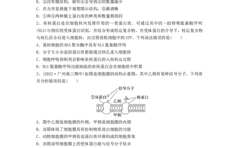 专题04细胞膜和细胞核（精练）（原卷版）_2024年新高考资料_1.2024一轮复习_备战2024年高考生物一轮复习串讲精练（新高考专用）