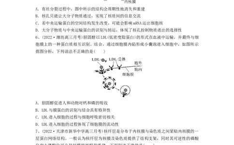 专题04细胞膜和细胞核（精练）（原卷版）_2024年新高考资料_1.2024一轮复习_备战2024年高考生物一轮复习串讲精练（新高考专用）