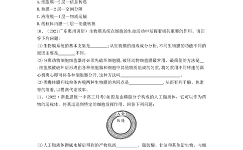 专题04细胞膜和细胞核（精练）（原卷版）_2024年新高考资料_1.2024一轮复习_备战2024年高考生物一轮复习串讲精练（新高考专用）