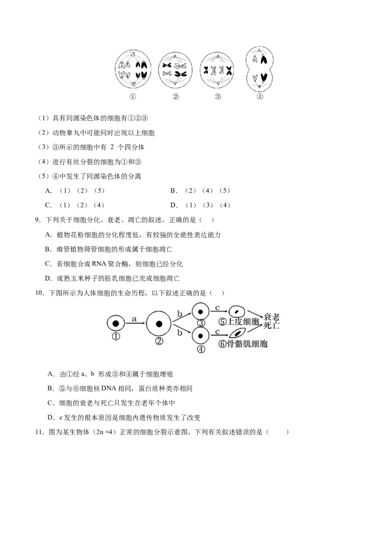 专题三细胞的生命历程（测试）（原卷版）_2024年新高考资料_2.2024二轮复习_2024年高考生物二轮复习讲练测（新教材新高考）