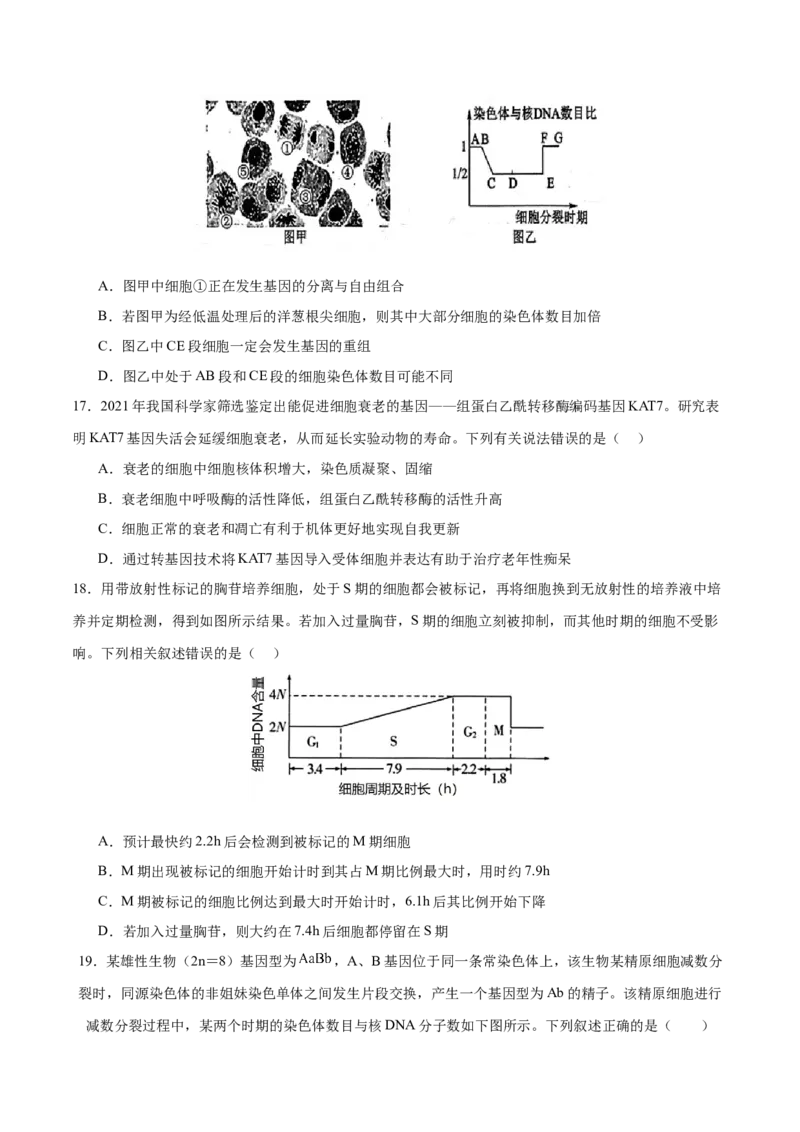 专题三细胞的生命历程（测试）（原卷版）_2024年新高考资料_2.2024二轮复习_2024年高考生物二轮复习讲练测（新教材新高考）
