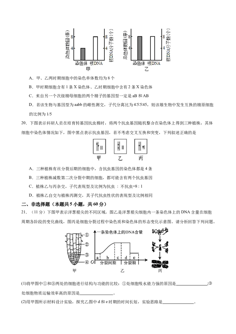 专题三细胞的生命历程（测试）（原卷版）_2024年新高考资料_2.2024二轮复习_2024年高考生物二轮复习讲练测（新教材新高考）